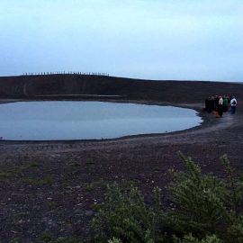 Kreuzkröte, Feldlerche & Co auf Halde Haniel – eine Wanderung der Klimawochen Ruhr 2016