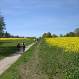 63. Volksradfahren in Mülheim an der Ruhr
