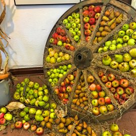 Von Pomologen, Pott und Pobacken – eine Ruhrgebietsreise durch den Emscher Landschaftspark