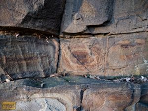 Auch sonst gibt's schöne Muster zu erkennen.