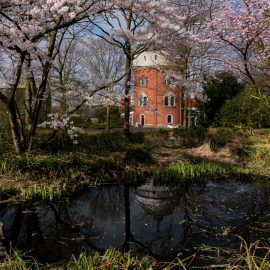 25 Jahre MüGa – Pantoffelgrün und viel Kultur für Mülheim und Besucher