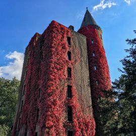 Das Ruhrgebiet im Herbst – meine bunten, luftigen und magischen Lieblingsplätze Das Ruhrgebiet im Herbst – meine bunten, luftigen und magischen Lieblingsplätze