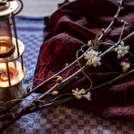 Unsere Barbarazweige blühen – Frohe und glückliche Weihnachten 2017!