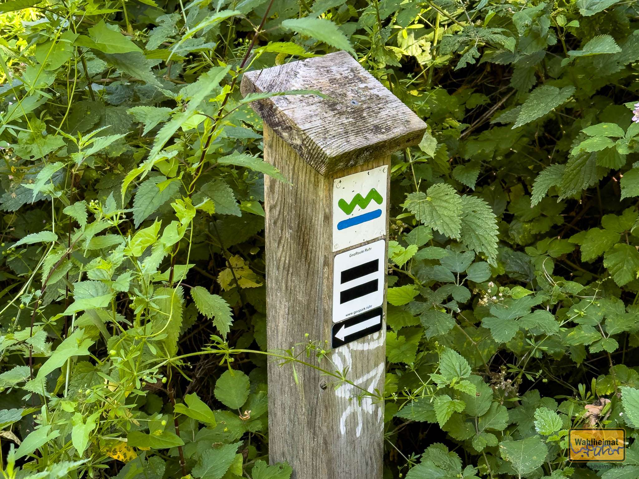 Neben dem Baldeneysteig führt auch die GeoRoute Ruhr an den Hängen des Baldeneysees vorbei.