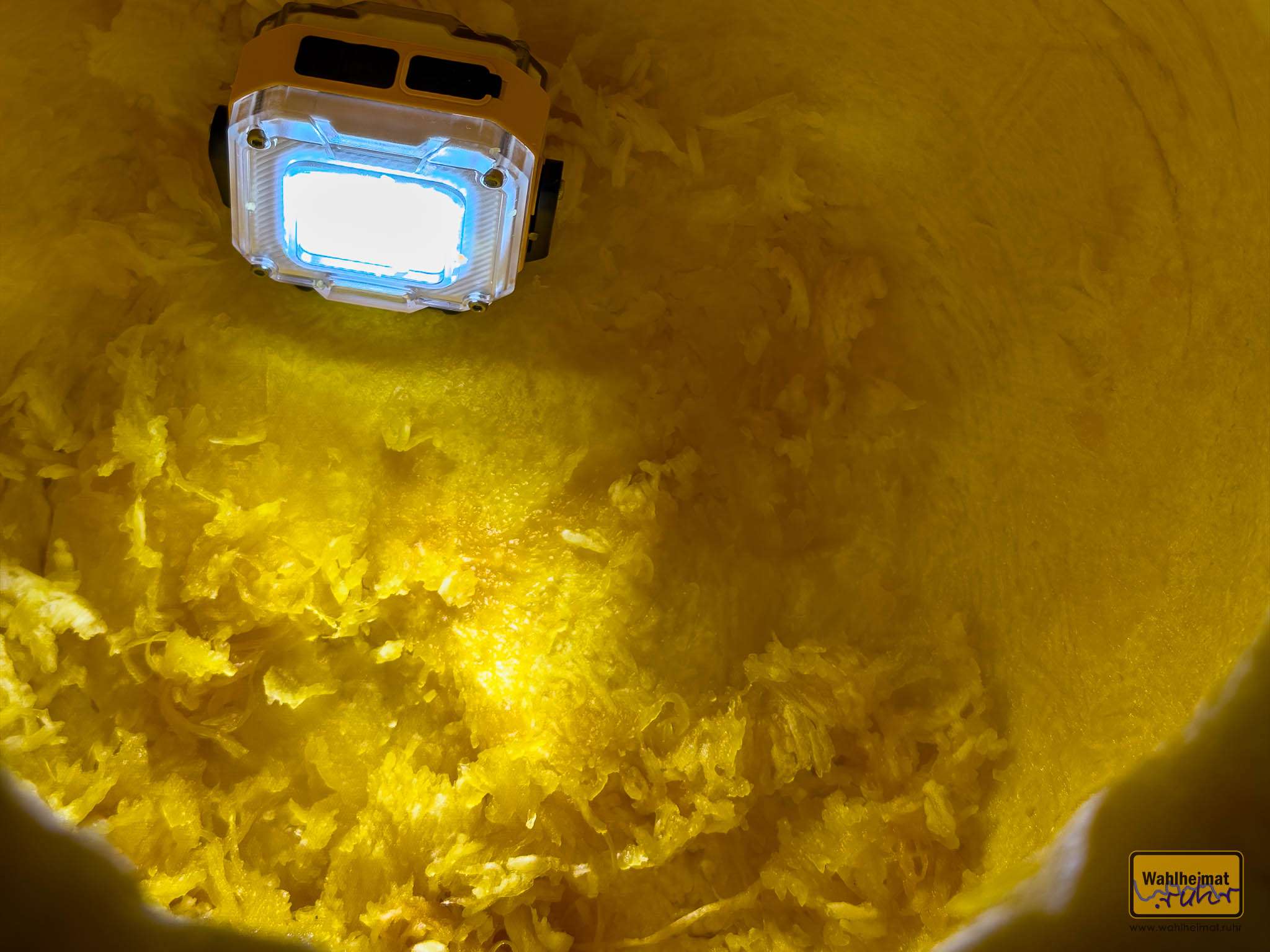 Nach dem Aushöhlen ein Blick ins Innere.